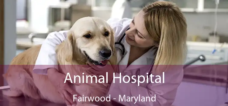 Animal Hospital Fairwood - Maryland