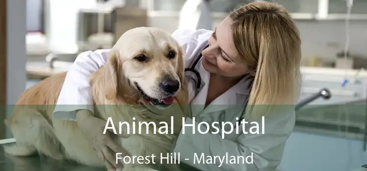 Animal Hospital Forest Hill - Maryland