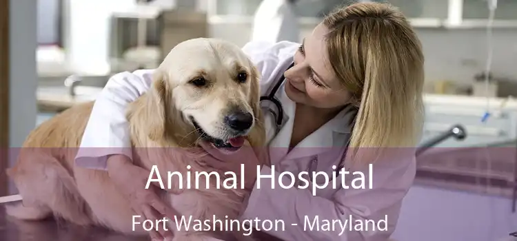 Animal Hospital Fort Washington - Maryland