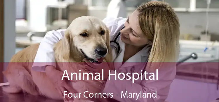 Animal Hospital Four Corners - Maryland