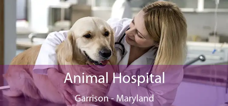 Animal Hospital Garrison - Maryland