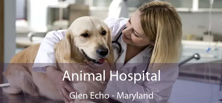 Animal Hospital Glen Echo - Maryland