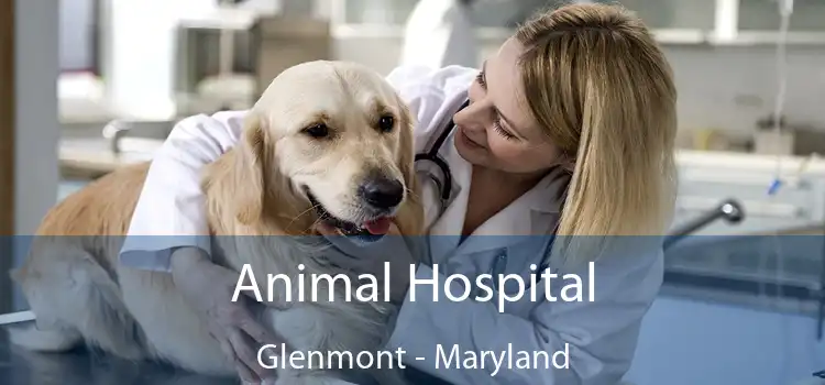 Animal Hospital Glenmont - Maryland