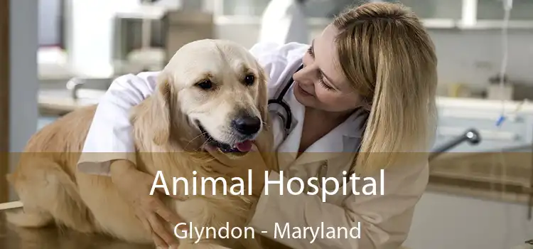 Animal Hospital Glyndon - Maryland