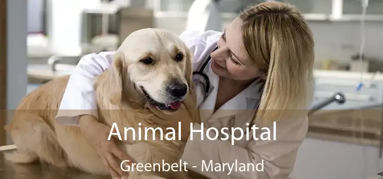 Animal Hospital Greenbelt - Maryland