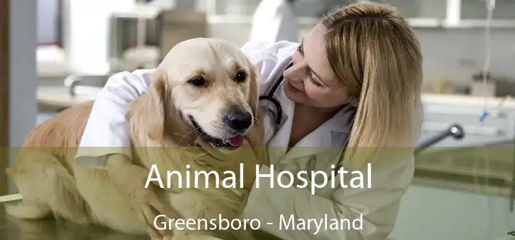 Animal Hospital Greensboro - Maryland