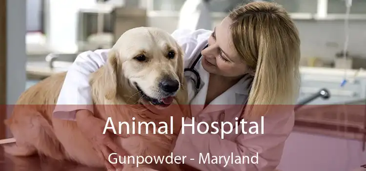 Animal Hospital Gunpowder - Maryland