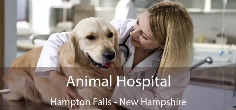 Animal Hospital Hampton Falls - New Hampshire