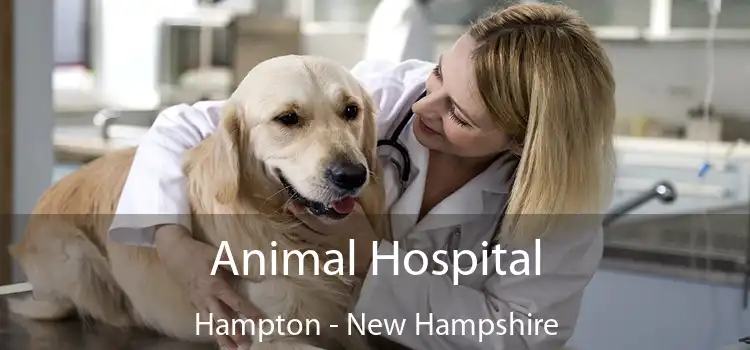 Animal Hospital Hampton - New Hampshire