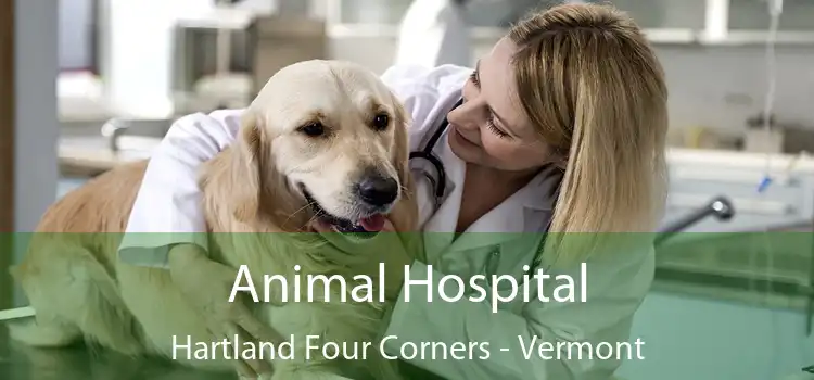 Animal Hospital Hartland Four Corners - Vermont