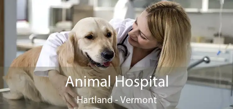 Animal Hospital Hartland - Vermont