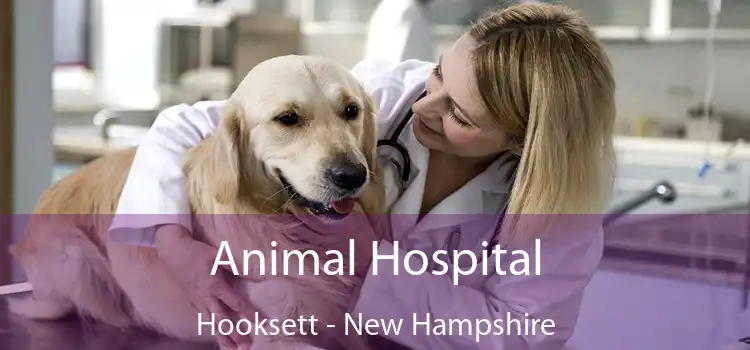 Animal Hospital Hooksett - New Hampshire