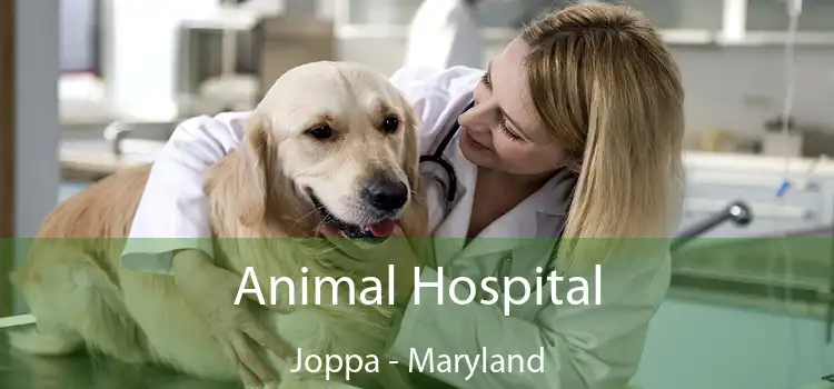 Animal Hospital Joppa - Maryland