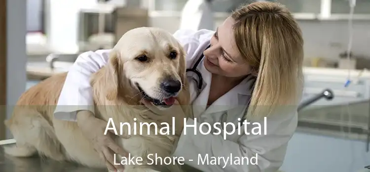 Animal Hospital Lake Shore - Maryland