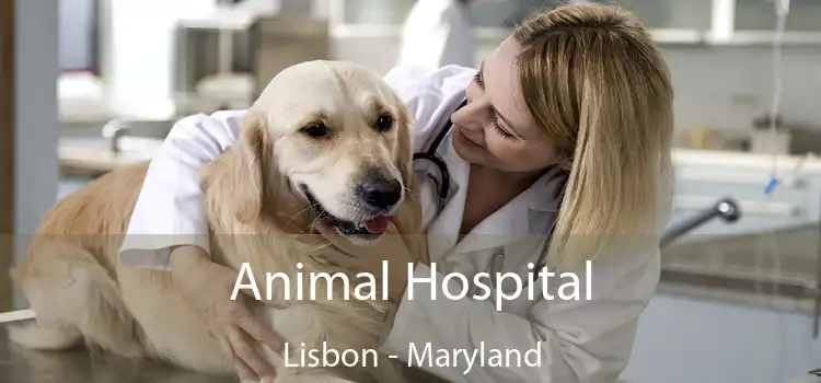 Animal Hospital Lisbon - Maryland