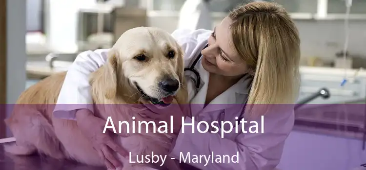 Animal Hospital Lusby - Maryland