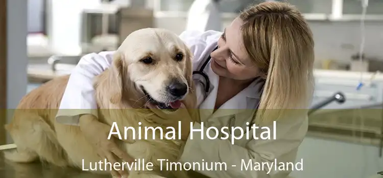 Animal Hospital Lutherville Timonium - Maryland