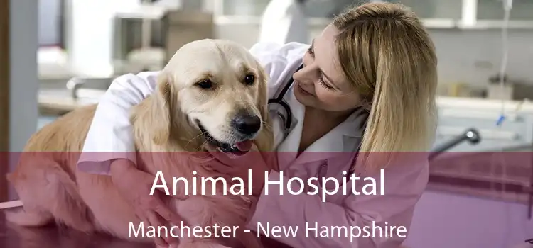 Animal Hospital Manchester - New Hampshire