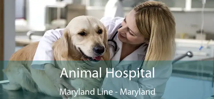 Animal Hospital Maryland Line - Maryland