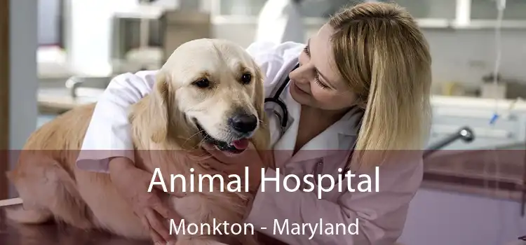 Animal Hospital Monkton - Maryland