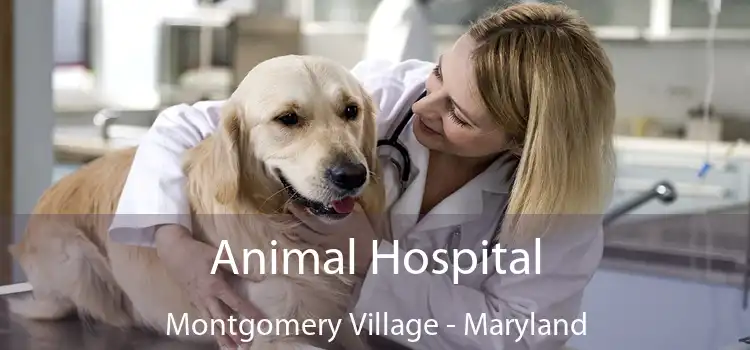 Animal Hospital Montgomery Village - Maryland