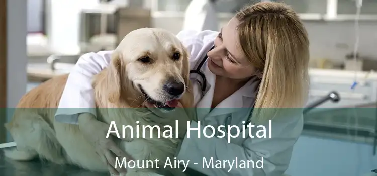 Animal Hospital Mount Airy - Maryland