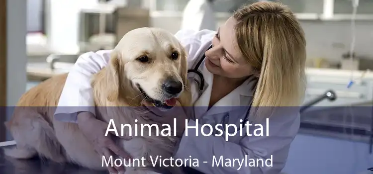 Animal Hospital Mount Victoria - Maryland