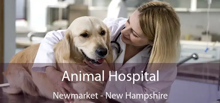 Animal Hospital Newmarket - New Hampshire