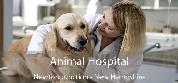 Animal Hospital Newton Junction - New Hampshire