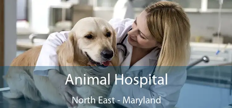 Animal Hospital North East - Maryland