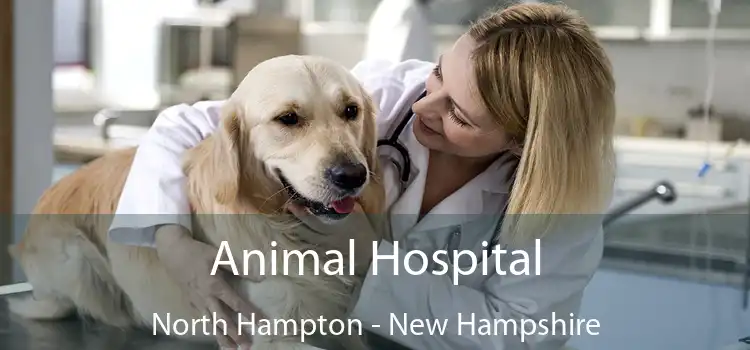 Animal Hospital North Hampton - New Hampshire