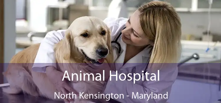 Animal Hospital North Kensington - Maryland