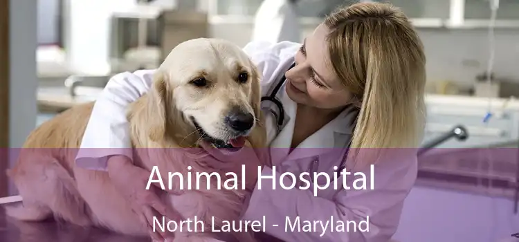 Animal Hospital North Laurel - Maryland