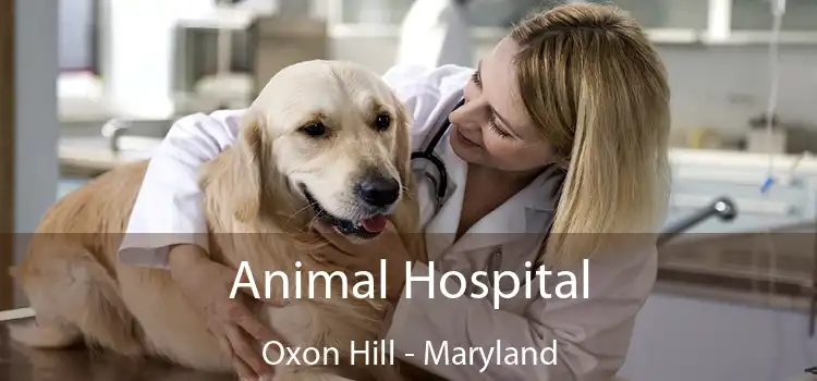 Animal Hospital Oxon Hill - Maryland