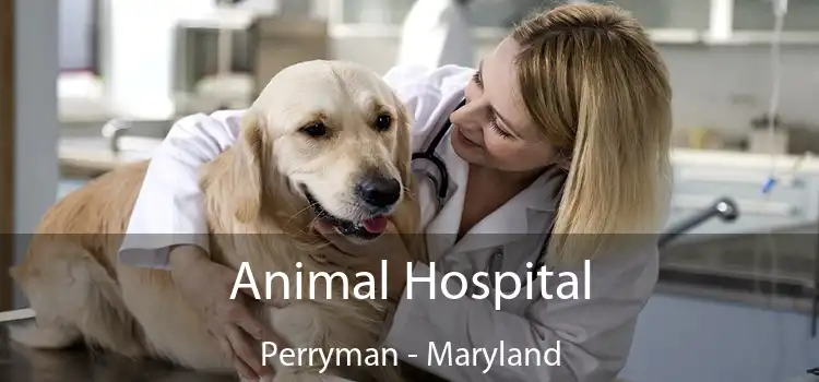 Animal Hospital Perryman - Maryland