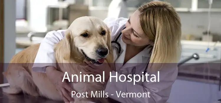 Animal Hospital Post Mills - Vermont