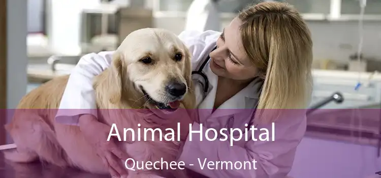 Animal Hospital Quechee - Vermont