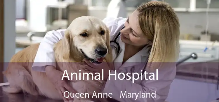 Animal Hospital Queen Anne - Maryland