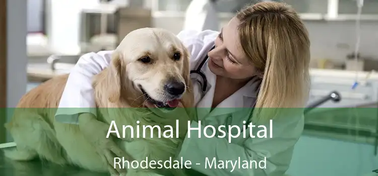 Animal Hospital Rhodesdale - Maryland