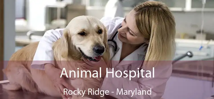 Animal Hospital Rocky Ridge - Maryland