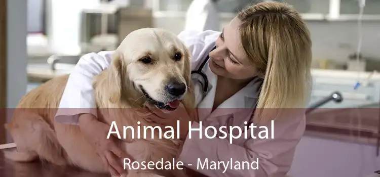 Animal Hospital Rosedale - Maryland