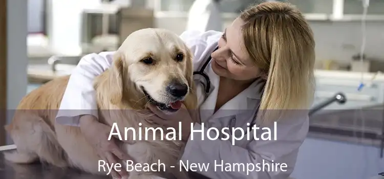 Animal Hospital Rye Beach - New Hampshire