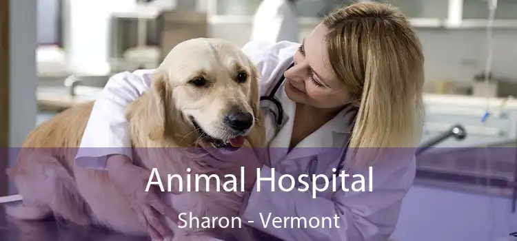 Animal Hospital Sharon - Vermont