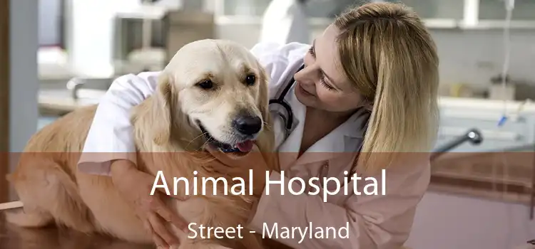 Animal Hospital Street - Maryland