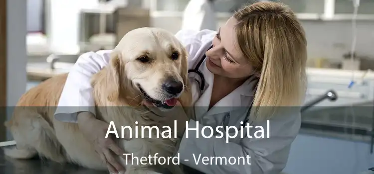 Animal Hospital Thetford - Vermont