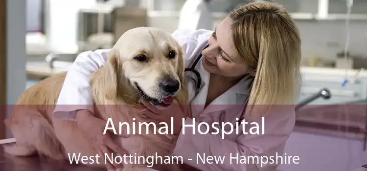 Animal Hospital West Nottingham - New Hampshire