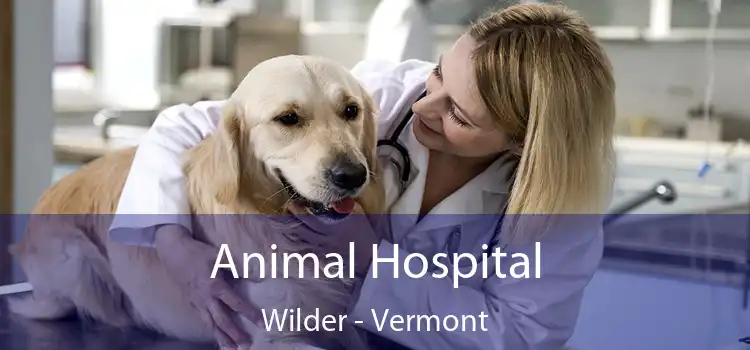 Animal Hospital Wilder - Vermont