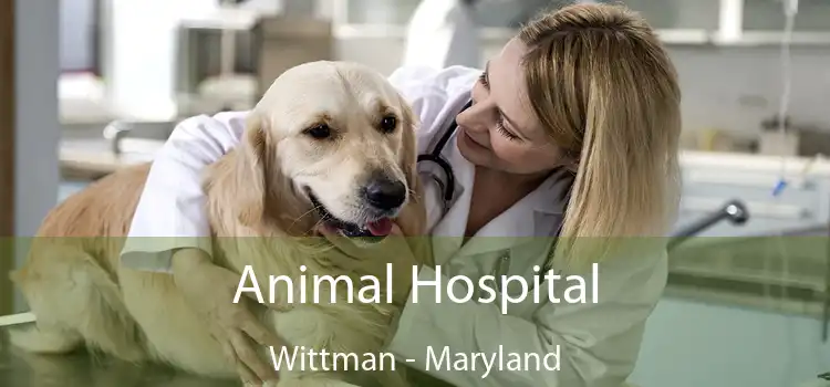 Animal Hospital Wittman - Maryland