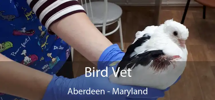 Bird Vet Aberdeen - Maryland