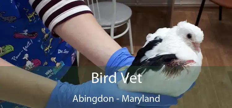 Bird Vet Abingdon - Maryland